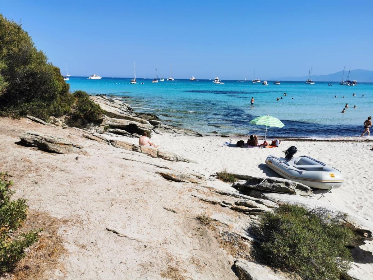 Farfalla Calvi (Corsica) Exterior foto