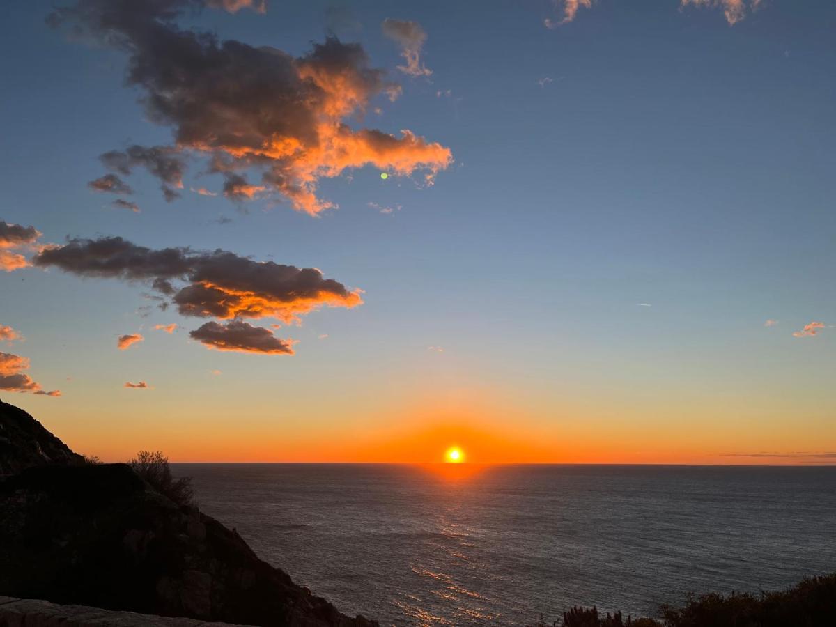 Farfalla Calvi (Corsica) Exterior foto